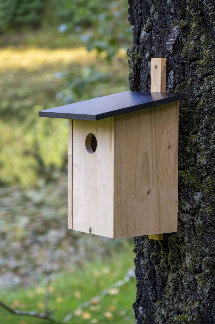 dobar Großer Starenkasten aus Holz